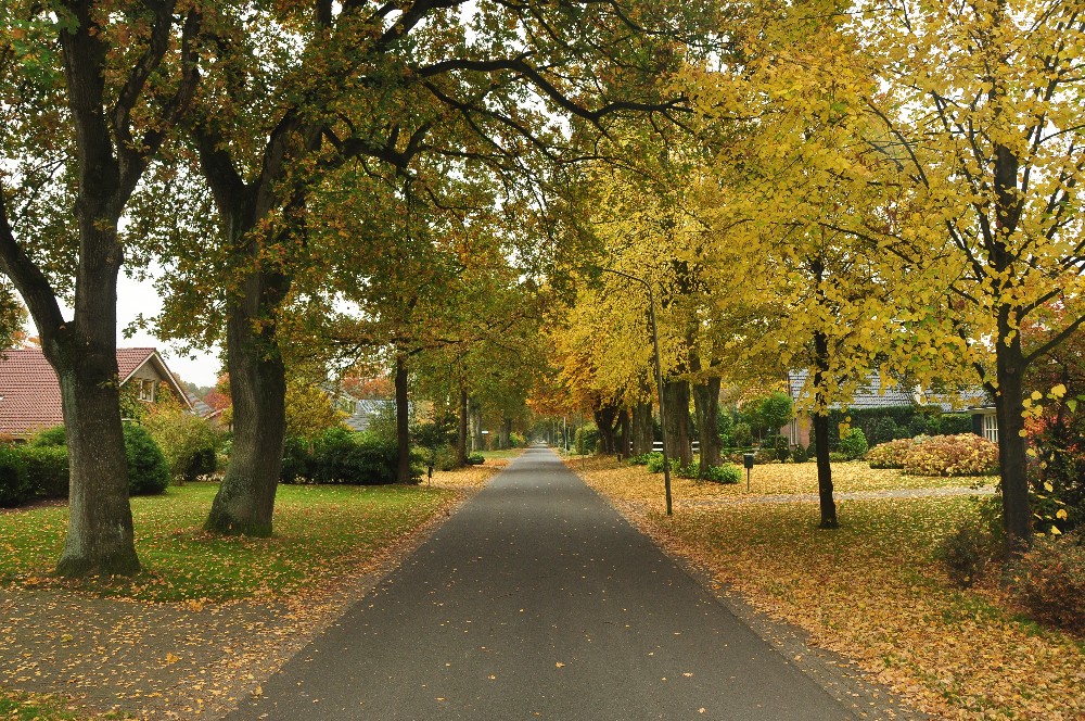 SleenWeb - Nieuws | De herfst begint vandaag; het herfstproject ook