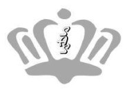 Stichting Activiteiten Sleen - SAS