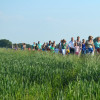 Wandelvierdaagse in Sleen dit jaar in juni