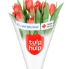 Ook in Sleen een 'Tulp voor noodhulp'