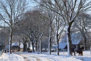 Winterse taferelen in en rondom Sleen