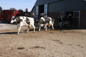 Dames mogen weer naar buiten