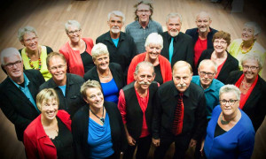 Samenzang op Bevrijdingsdag in Sleen