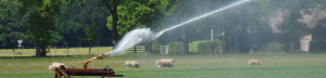 Hittegolf op komst: droogste jaar ooit?