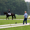 Zuidenveld: polocrosse en dressuur