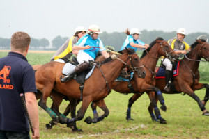 Zaterdag: schapen, polocrosse en bridgen