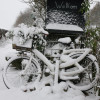 Sneeuw in Sleen levert mooie plaatjes op