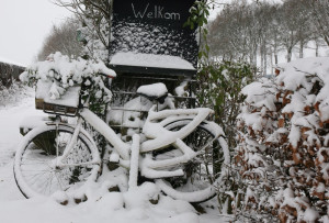 Sneeuw in Sleen levert mooie plaatjes op