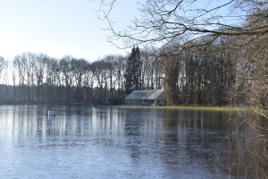 Wel of niet schaatsen op de ijsbaan in Sleen?