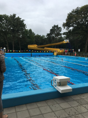 Schoolzwemwedstrijden weer groot succes