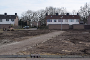 Vleermuizen hinderen sloop huizen