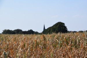 Droogte laat sporen na