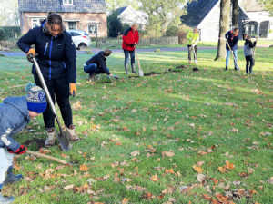 Bollenplantploeg aan de slag in Noord-Sleen