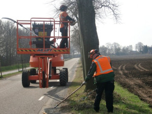 Snoeien van ruim 600 bomen in Sleen