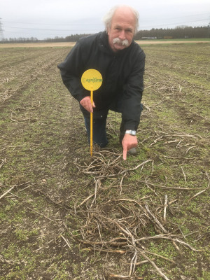 Eerste kievitseieren gevonden in Diphoorn