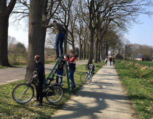 Erm ook in strijd tegen de eikenprocessierups