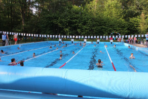 Bosbad; ruim 125 deelnemers Zwem4daagse