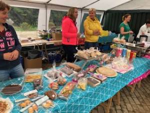 Rommelmarkt Noord-Sleen goed bezocht