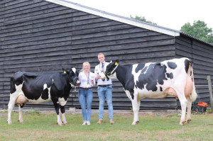 Sleen succesvol op rundveekeuring Zuidenveld