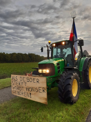 Joris en Fester Ziengs op televisie bij Yung