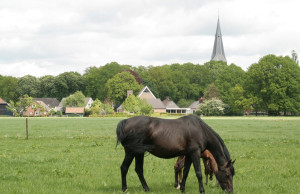 Inwoners van Sleen kunnen weer kiezen