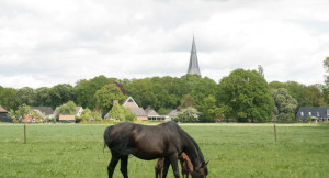 Waaraan moet het dorpsbudget besteed worden?