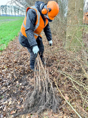 Gemeente aan de slag voor biodiversiteit