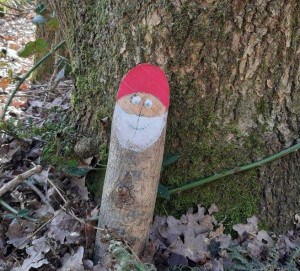 Kabouterroute in het Derde bosje van Sleen