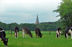 Kinder- en jongerencarrousel in Sleen