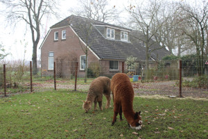 Zorgboerderij voor volwassenen met autisme