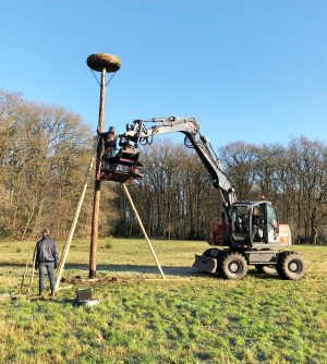 Nieuw ooievaarsnest in Diphoorn