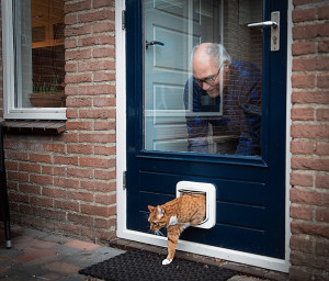 In Sleen zijn opvallend veel katten spoorloos