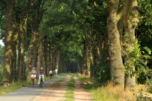 Fietsroute wordt veiliger er vernieuwd