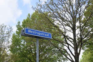 Straat in beeld: Westrupstraat