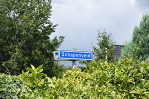 Straat in beeld: Schapenveld