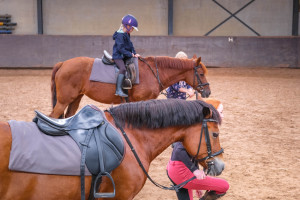 Open dag paardensportcentrum trekt bekijks