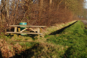 Vanaf een bankje: Oosterveldweg