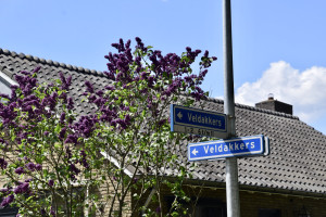 Straat in beeld: Veldakkers