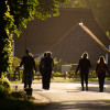 Dauwtrappen in Erm op 29 mei