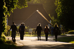 Dauwtrappen in Erm op 29 mei