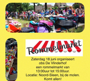 Rommelmarkt in Noord-Sleen op 18 juni