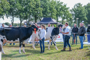 Jarige Fokstudieclub houdt keuring