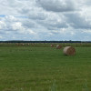 Boeren, beesten en biodiversiteit komen samen