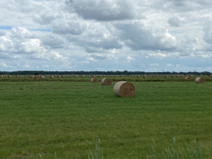Boeren, beesten en biodiversiteit komen samen