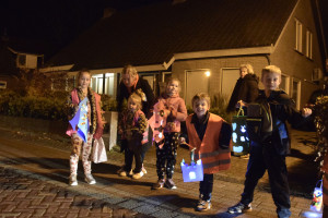 Sint Maarten feest in Sleen