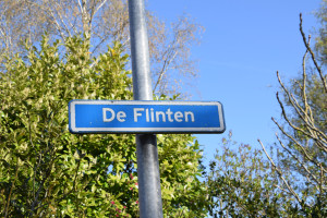 Straat in beeld: De Flinten