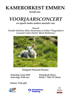 Voorjaarsconcert Kamerorkest op 3 juni