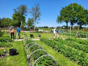 Dorpstuin doet mee aan EcoVeltdagen