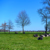Plattelandscafé in Sleen voor goede ideeën
