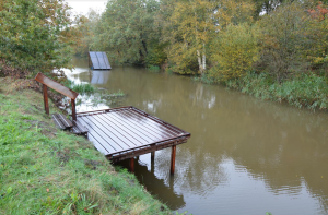 Nieuwe vissteiger in Jongbloedsvaart (update)